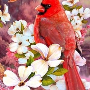 Meet your Posher, Ann